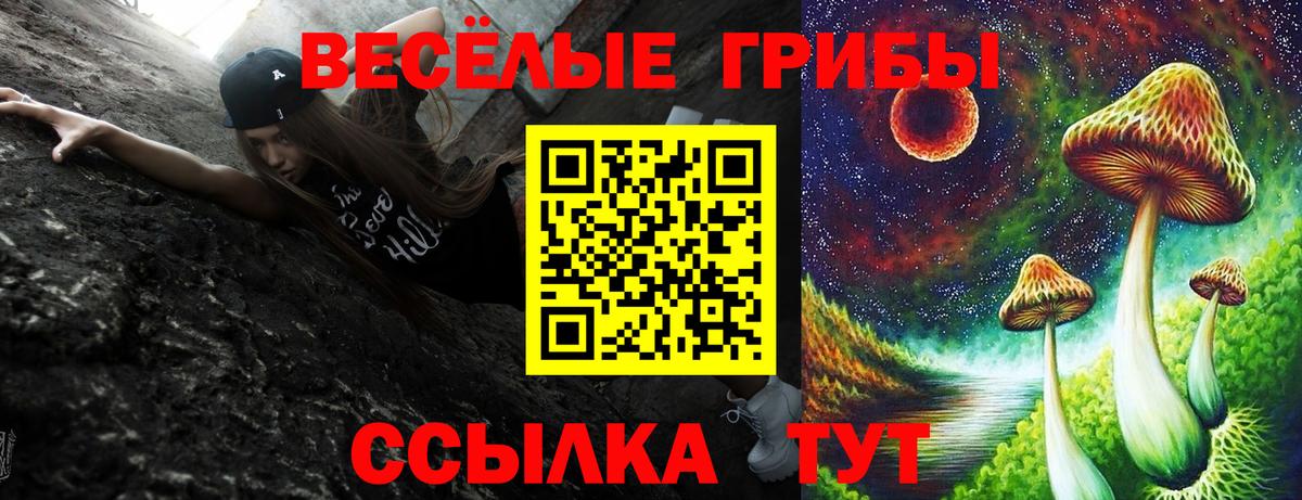 Галлюциногенные грибы Cubensis Сунжа