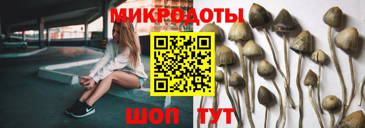 Галлюциногенные грибы мухоморы  Вход с VPN  Сунжа 